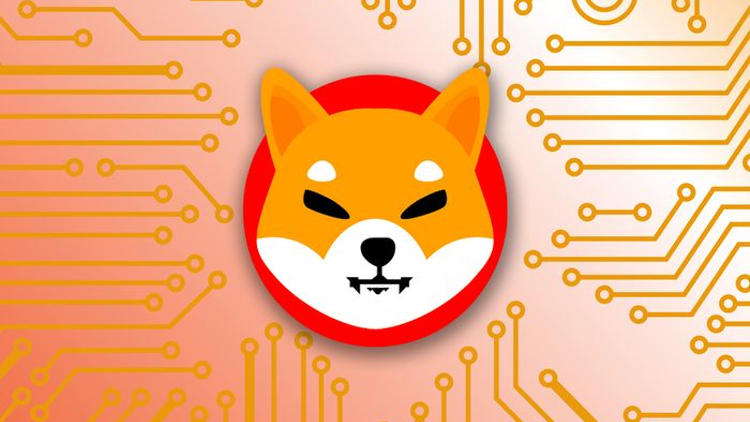 AMC Theatres примет Shiba inu (SHIB) в качестве оплаты через кошельки BitPay 