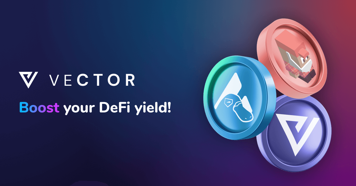 Общая стоимость Vector Finance (VTX) достигла нового максимума