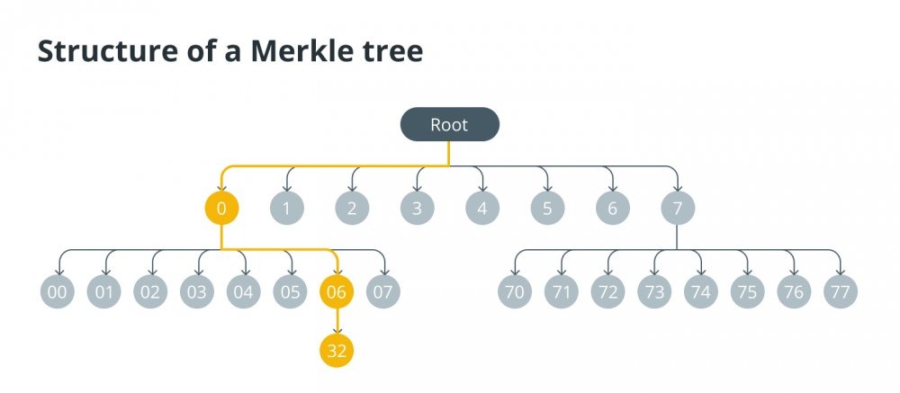 Деревья Merkle против деревьев Werkle