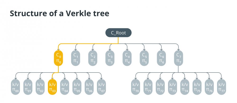 Деревья Merkle против деревьев Werkle