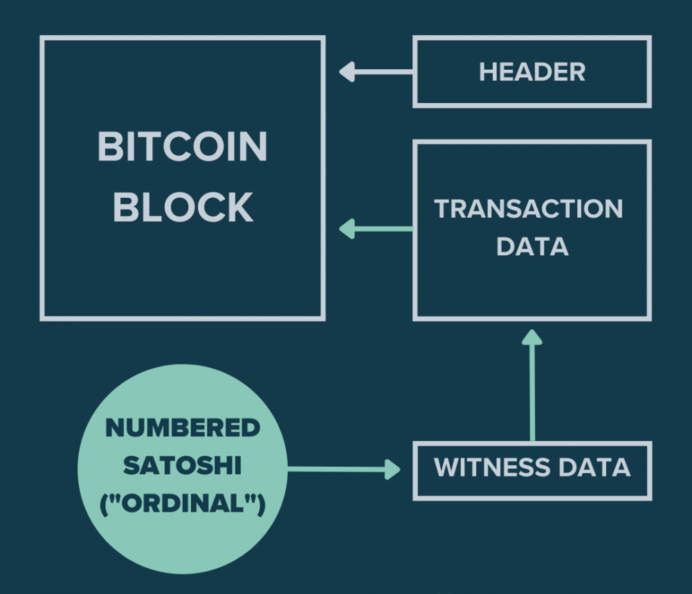 Могут ли ординалы раскрыть новый потенциал биткойнов?