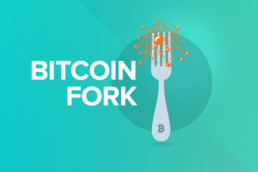 Одна из сетей хардфорка Bitcoin Cash подверглась атаке реорганизации