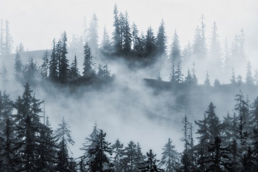 Официальные лица США арестовали предполагаемого оператора службы Bitcoin Fog