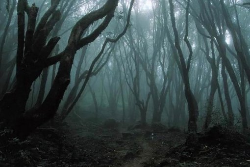 Зловещее предупреждение Morgan Stanley угрожает ралли биткоина