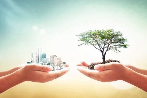 Kin DAO объявила о запуске организации Primordia DAO