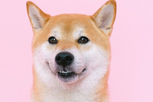 Shiba Inu и Dogecoin лидируют в прибыли за последнюю неделю