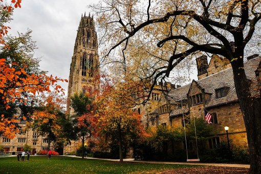 Harvard, Yale, Brown Endowments покупают биткоины не менее года
