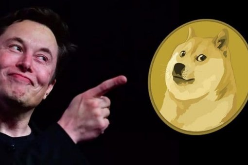 Илон Маск: одна монета, чтобы править всеми (DOGE)