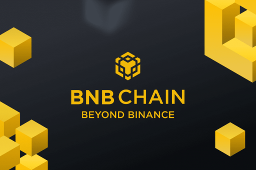 BNB Chain представляет фонд для стимулирования роста проектов на блокчейне