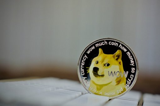 TRM Labs добавила блокчейн Dogecoin в свой набор услуг
