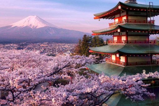 Криптоиндустрия в Японии. Прогнозы на 2021 год