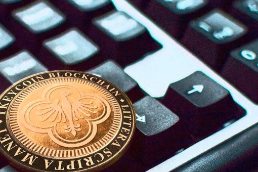 CEO российского блокчейн-проекта Tkeycoin Максим Якимов: «Все идет не просто по плану, а местами даже оперативнее»  В эксклюзивном интервью Блокчейн24 СЕО крупного российского блокчейн-проекта Tkeycoin Максим Якимов рассказал о том, как развивается сервис, почему слухи о «скаме» положительно сказываются на развитии проекта и когда криптовалюта Tkeycoin залистится на крупные криптобиржи.  Российский проект Tkeycoin принадлежит крупному холдингу BR, который занимается IT-технологиями. В компании говорят, что 