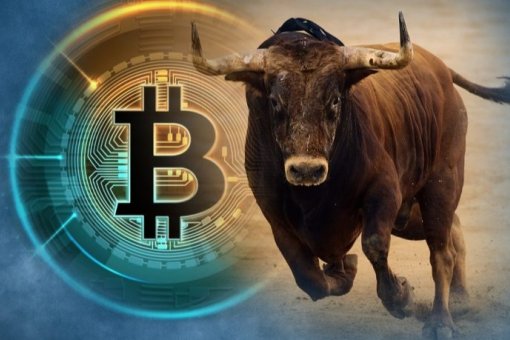 Кэти Стоктон: показатели указывают на грядущее бычье ралли