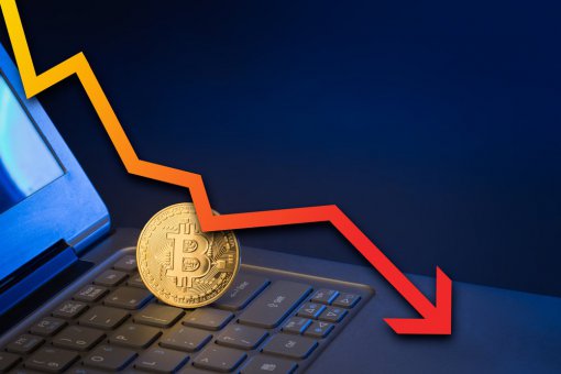 Медведи снова в деле: курс Bitcoin Cash упал до исторического минимума