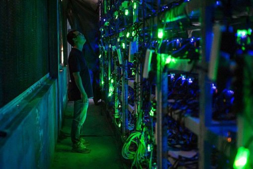 Общенациональные репрессии Китая могут создать конкурентную среду, где выживут сильнейшие