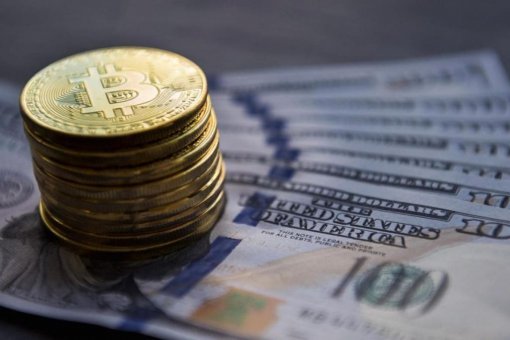 WisdomTree обдумывает создание стейблкойна, привязанного к доллару