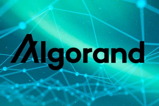 Algorand возглавляет инвестиционный раунд в размере 22 миллионов долларов в Koibanx