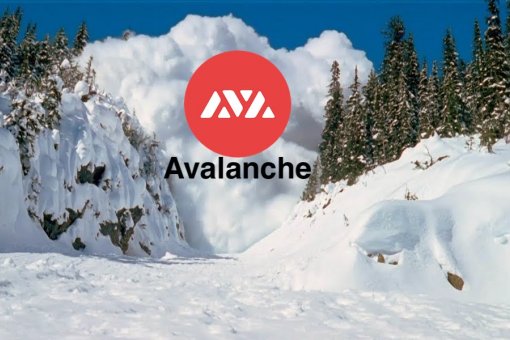 Обернутый биткоин теперь доступен на Avalanche