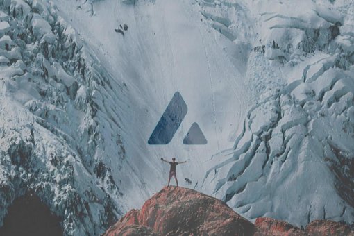 Avalanche AVAX превысил 43 доллара США при росте 55,46% за 24 часа