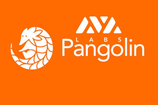 Avalanche анонсировал запуск Pangolin DEX