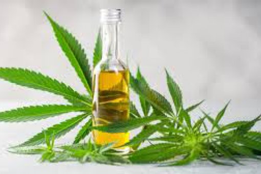 Компания CBD Greenheart запускает продажи токена Punt IEO