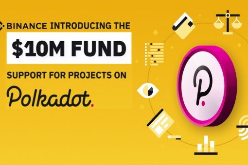 Binance создала фонд в 10 миллионов долларов для поддержки проектов экосистемы Polkadot