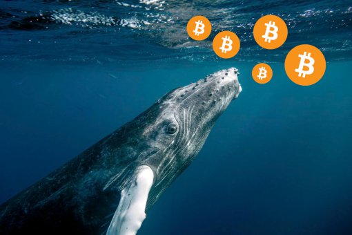 Как крупнейшие биткоин-киты готовятся к халвингу?