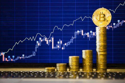 Вилли Ву: биткоин не упадет до отметки 2014 года