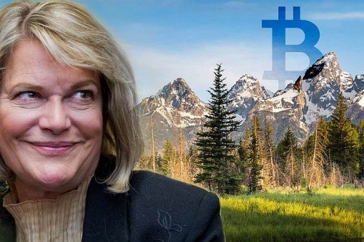 Сенатор Синтия Ламмис хочет, чтобы правительство США сделало блокчейн приоритетом