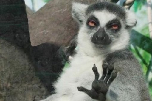 Рекордное ралли цен на биткойн продолжится