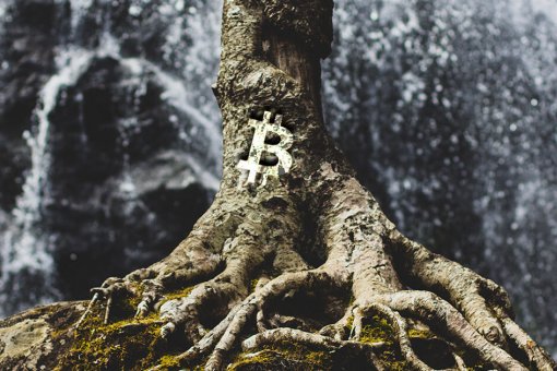 Активация Bitcoin Taproot началась, у майнеров есть 3 месяца на принятие решения