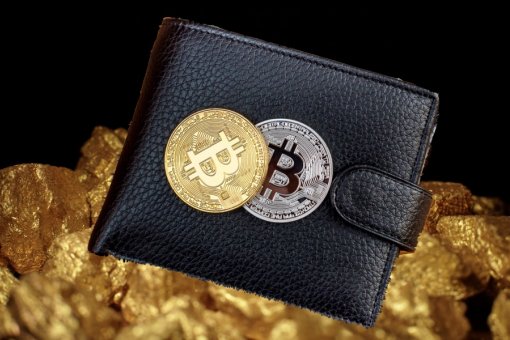 Кошельки с менее чем 1 BTC составляют всего 5% рыночной капитализации Биткойн