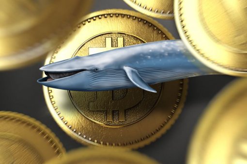 Вот как трейдеры получают прибыль от корректировки цены