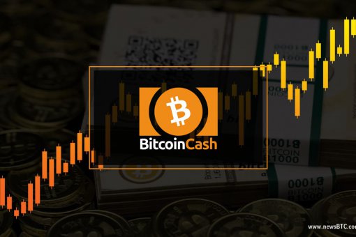 В коде Bitcoin Cash нашли критическую ошибку