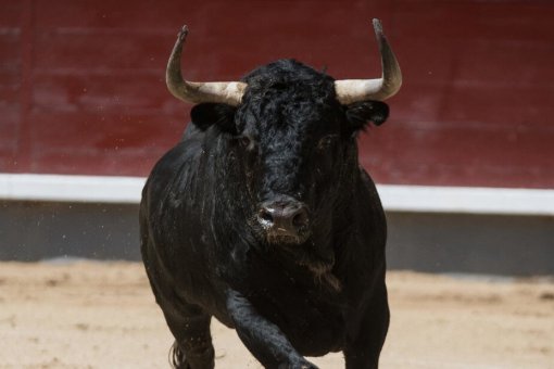 Ещё один золотой крест: цена биткойна поднимется до 25,000 долларов к маю 