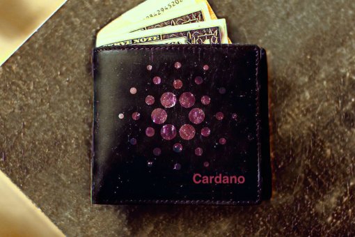Количество кошельков ADA увеличилось почти на 40% в 2021 году