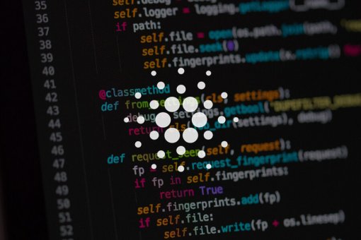 Cardano по-прежнему лидирует на GitHub по темпам кодинга