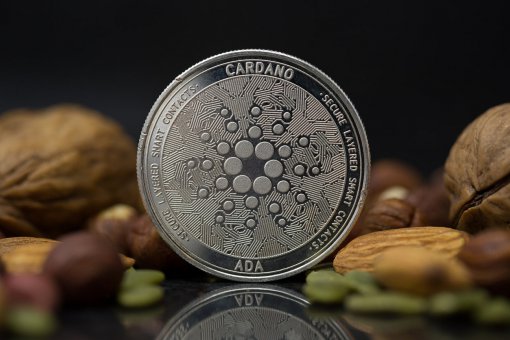 Хоскинсон из Cardano утверждает, что протокол Hydra в 5 раз быстрее, чем Ethereum