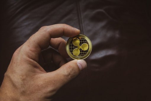 CEO Ripple считает, что 2020 год станет годом приобретений