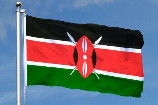 Центральный банк Кении заявляет, что конвертировать резервы страны в биткойн - это "сумасшествие"