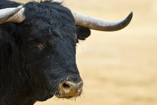 Бычье ралли неизбежно? Hodl Waves Chart показывает, что 60% биткоинов не сдвинулись за год