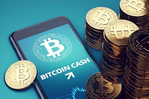 Второй форк Bitcoin Cash удерживается в ТОП-10 по капитализации