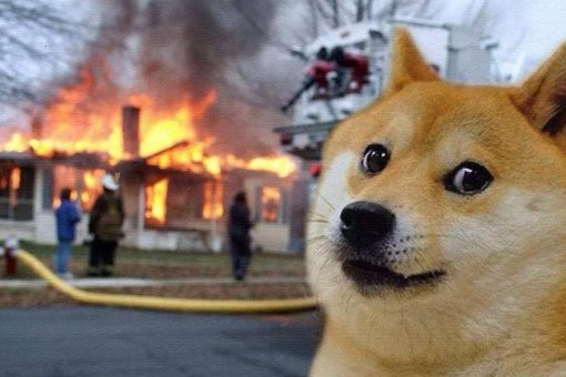 Аккаунт «председателя WSB», разместивший информацию о BTC и Dogecoin, оказался фейковым