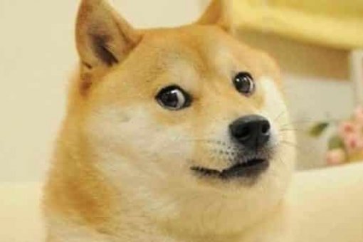 Анализ цен DOGE намекает на падение монеты на 30%