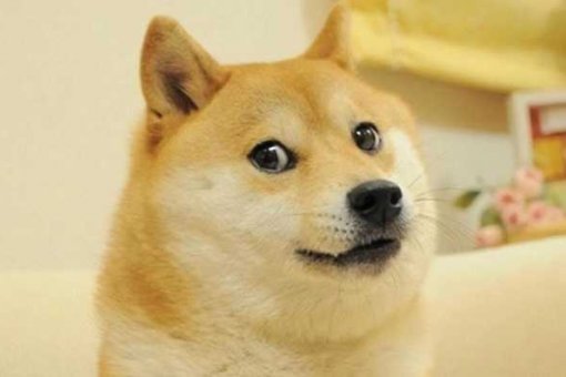 Dogecoin (DOGE) выходит на новый уровень ATH