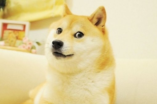 DOGE планирует выпустить новое обновление до конца 2021 года