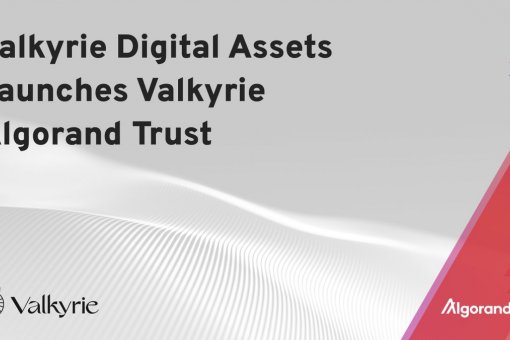 Valkyria запускает Algorand Trust: фонд будет предлагать доступ к ALGO и доходность 4%-6%