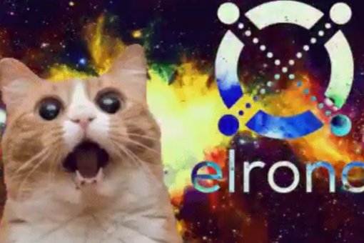 Выход криптовалютного кошелька Maiar для сети Elrond «не за горами»