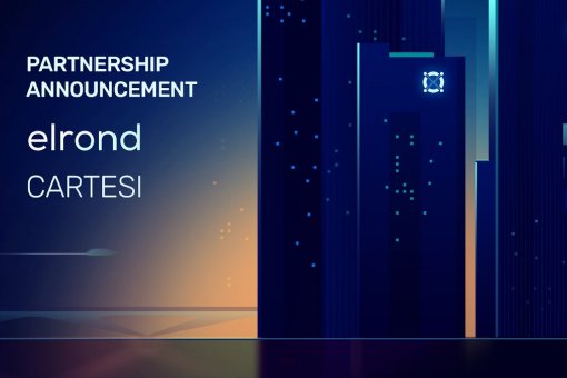 Elrond Network и Cartesi развернут Optimistic Rollups