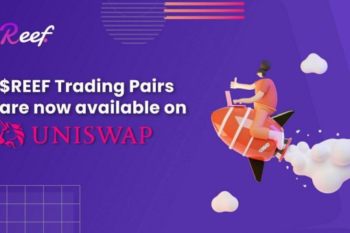 Reef Finance, первый проект Binance Launchpool на основе Polkadot